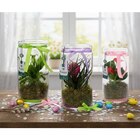 Terrarium plante fleurie à 9,99 € dans le catalogue Carrefour