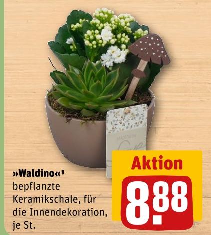 REWE Mengen - Waldino Angebot im Prospekt Waldino bei REWE im Mengen Prospekt für 8,88 €