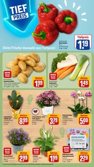 Gartenerde im REWE Prospekt "Dein Markt" mit 31 Seiten (Mülheim (Ruhr))