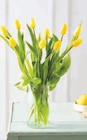 U Express Mésanger - Promo Bouquet de 10 tulipes de glace Promo Bouquet de 10 tulipes de glace à 5,99 € dans le catalogue U Express à Mésanger