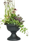 Aktuelle Blumentopf Angebote bei Rusta in Essen Aktuelles Töpfe für den Außenbereich Angebot bei Rusta in Essen ab 3,00 €