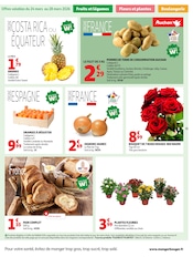 Promos Plantes dans le catalogue "FÊTONS PÂQUES" de Auchan Hypermarché Plantes en promo dans le catalogue Auchan Hypermarché à la page 33