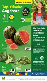 Melone Angebot im aktuellen Lidl Prospekt auf Seite 2