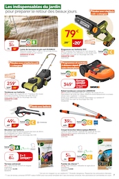 Offre Plante Verte dans le catalogue Weldom du moment à la page 7