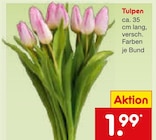 Aktuelles Tulpen Angebot bei Netto Marken-Discount in Erfurt ab 1,99 €