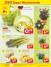 Stauden im Netto Marken-Discount Prospekt in Bochum Aktueller Netto Marken-Discount Prospekt mit Stauden, "Aktuelle Angebote", Seite 54