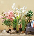 Magnolia artificiel dans le catalogue Gifi