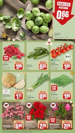 REWE Himbeeren im Prospekt REWE Himbeeren im Prospekt