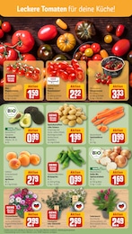 REWE Pflanzen im Prospekt REWE Pflanzen im Prospekt