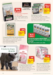 D'autres offres dans le catalogue "Les promos de l'été !" de Maxi Zoo D'autres offres dans le catalogue "Les promos de l'été !" de Maxi Zoo à la page 10