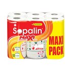 Essuie-tout "Maxi Pack" - SOPALIN dans le catalogue Carrefour