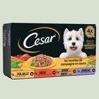 Pâtée en sauce pour chien à la viande - Cesar en promo chez Netto Pâtée en sauce pour chien à la viande - Cesar dans le catalogue Netto