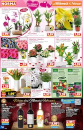 Lenor Angebot im aktuellen Norma Prospekt auf Seite 14