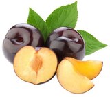 REWE Dörentrup - Dunkle Pflaumen Angebot im Prospekt Dunkle Pflaumen bei REWE im Dörentrup Prospekt für 1,79 €