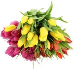Tulpenstrauß »Frühlingswind« Angebote bei REWE Castrop-Rauxel für 5,79 €