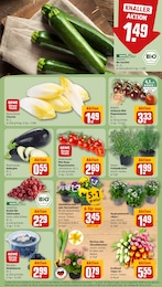 Tomaten Angebot im aktuellen REWE Prospekt auf Seite 9