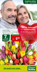Pflanzen Kölle Prospekt "Am 14. Februar ist Valentinstag ", 14 Seiten, für Bingen, 13.02.2020 - 19.02.2020 Pflanzen Kölle Prospekt "Am 14. Februar ist Valentinstag ", 14 Seiten, für Bingen, 13.02.2020 - 19.02.2020