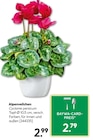 BayWa Bau- und Gartenmärkte - Alpenveilchen Angebot im Prospekt Alpenveilchen bei BayWa Bau- und Gartenmärkte im Prospekt "" für 2,79 €