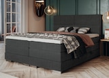 Boxspringbett Mandewilla im Angebot bei Die Möbelfundgrube in Saarbrücken Boxspringbett Mandewilla Angebote bei Die Möbelfundgrube Saarbrücken für 999,99 €