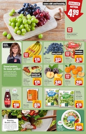 Ähnliche Teichpflanzen Angebote im Prospekt "Dein Markt" von REWE in Frankfurt Ähnliche Angebote wie Teichpflanzen im Prospekt "Dein Markt" auf Seite 6 von REWE in Frankfurt