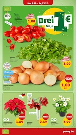 Aktueller Penny Prospekt mit Tomaten, "Wer günstig will, muss Penny.", Seite 6