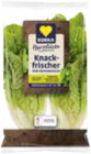 EDEKA Seebad Ahlbeck - Mini Romanasalat Angebot im Prospekt Mini Romanasalat bei EDEKA im Seebad Ahlbeck Prospekt für 0,99 €