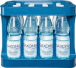 Mineralwasser im Angebot bei Netto Marken-Discount in Leipzig Mineralwasser Angebote von Saxonia bei Netto Marken-Discount Leipzig für 3,29 €