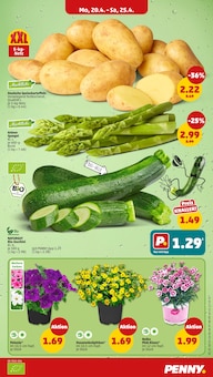 Blumen im Penny Prospekt "Wer günstig will, muss Penny." mit 38 Seiten (Nürnberg)