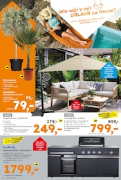Sonnenschirm im Globus-Baumarkt Prospekt in Erftstadt Aktueller Globus-Baumarkt Prospekt mit Sonnenschirm, "Immer eine Idee besser", Seite 2
