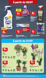 Offre Orchidée dans le catalogue Aldi du moment à la page 20