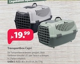 Transportbox Capri bei Kiebitzmarkt im Vetschau Prospekt für 19,99 €