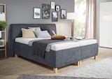 Polsterbett bei Opti-Wohnwelt im Prospekt "" für 2.099,00 €