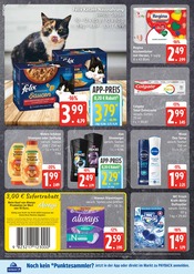 Felix Katzenfutter im EDEKA Prospekt in Wismar Aktueller EDEKA Prospekt mit Felix Katzenfutter, "Top Angebote", Seite 22