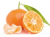Mandarinen bei REWE im Pulheim Prospekt für 3,49 €