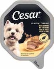 Hundenahrung von Cesar im aktuellen V-Markt Prospekt für 0,69 €