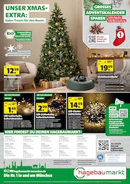 Hagebaumarkt Nordmanntanne im Prospekt Hagebaumarkt Nordmanntanne im Prospekt