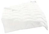 Steppbettdecke TREVIRA FILL Angebote von fan bei Penny Halberstadt für 17,99 €