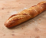 Steinofenbaguette im Angebot bei Netto Marken-Discount in Wuppertal Steinofenbaguette Angebote von BACK STUBE bei Netto Marken-Discount Wuppertal für 1,11 €