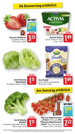 Tomaten im EDEKA Prospekt in Schwäbisch Hall Aktueller EDEKA Prospekt mit Tomaten, "Aktuelle Angebote", Seite 17