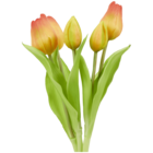 Tulipes artificielles Home Accents à Action dans Gandrange