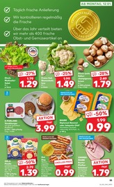 Farbe im Kaufland Prospekt in Böblingen Aktueller Kaufland Prospekt mit Farbe, "Aktuelle Angebote", Seite 55