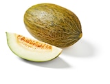 Zuckermelone Piel de Sapo im Lidl Prospekt Zuckermelone Piel de Sapo von im aktuellen Lidl Prospekt für 1,49 €