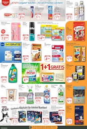 Aktueller GLOBUS Prospekt mit Sheba, "Aktuelle Angebote", Seite 18