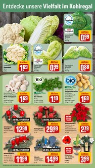 Kartoffeln im aktuellen REWE Prospekt (Regensburg) Kartoffeln im REWE Prospekt "Dein Markt" mit 20 Seiten (Regensburg)