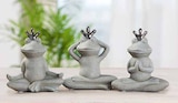 FROSCH YOGA im Angebot bei Zurbrüggen in Bochum FROSCH YOGA Angebote bei Zurbrüggen Bochum für 15,99 €