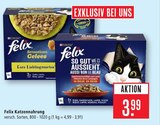 Sensations Gelees Angebote von Purina Felix bei Marktkauf Friedrichshafen für 3,99 €