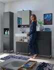 Hochschrank im Angebot bei Opti-Megastore in Suhl Hochschrank Angebote bei Opti-Megastore Suhl für 99,00 €