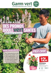 Plante Verte en promo dans le catalogue Gamm vert à la page 1
