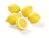 Lidl Quickborn - Zitronen Angebot im Prospekt Zitronen bei Lidl im Quickborn Prospekt für 1,11 €