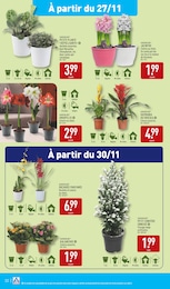 Offre Fleurs d'extérieur dans le catalogue Aldi du moment à la page 25